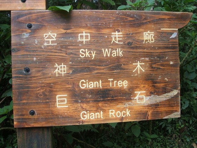 美人遊溪頭