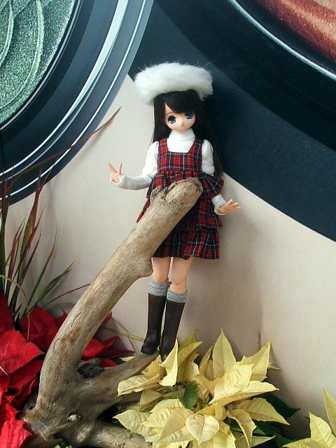 小蘿莉的聖誕出遊