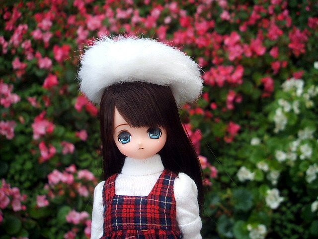 小蘿莉的聖誕出遊