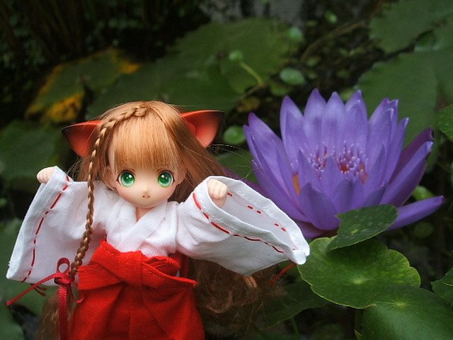 貓耳娘外出嬉戲