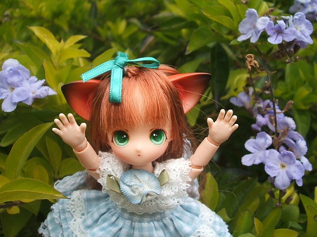 貓耳娘外出嬉戲