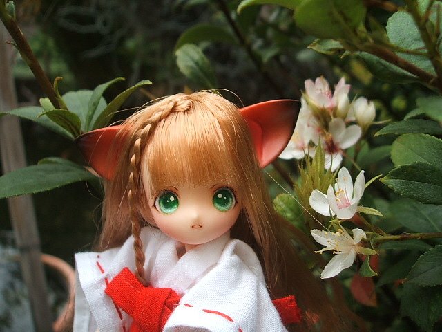 貓耳娘外出嬉戲