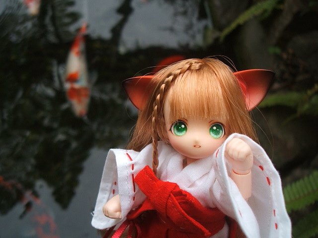 貓耳娘外出嬉戲