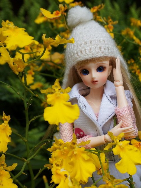 活潑美人遊花園