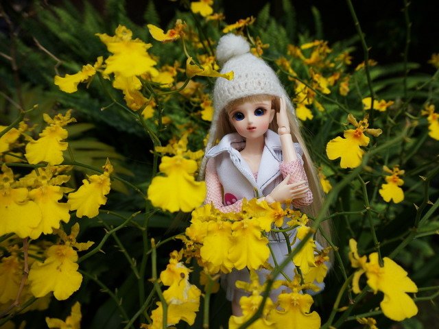 活潑美人遊花園