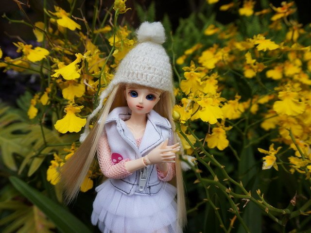 活潑美人遊花園