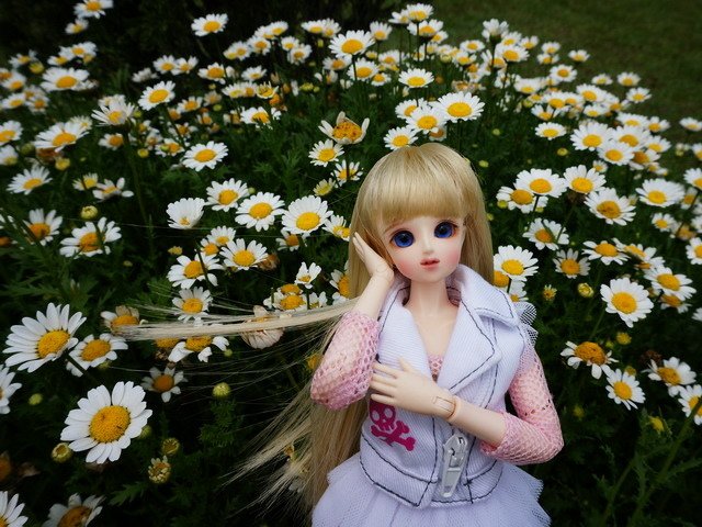 活潑美人遊花園
