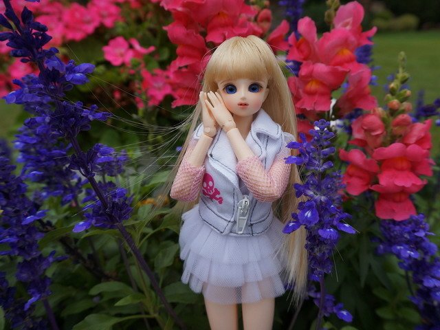 活潑美人遊花園