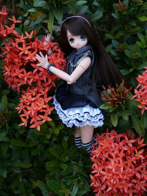 龐克風蘿莉的公園漫步