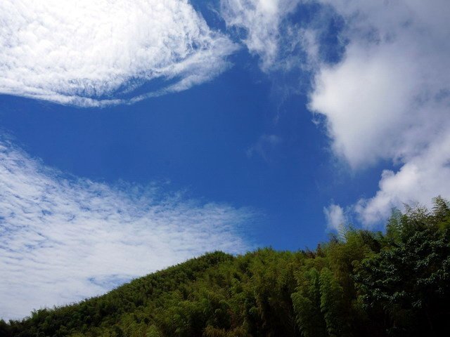 140525貓婆婆的國小同學會一日遊 (2).jpg