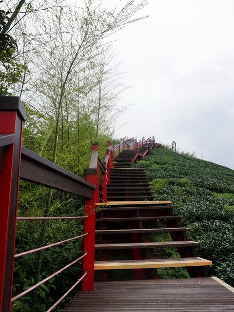 140525貓婆婆的國小同學會一日遊 (9).jpg