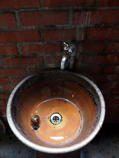 140525貓婆婆的國小同學會一日遊 (45).jpg