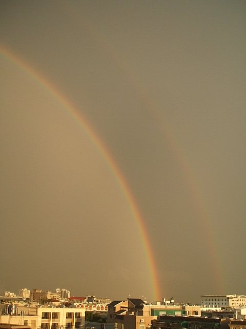 140709戶外隨手拍 (2).JPG