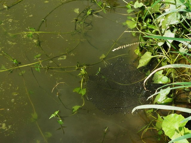140709戶外隨手拍 (9).jpg
