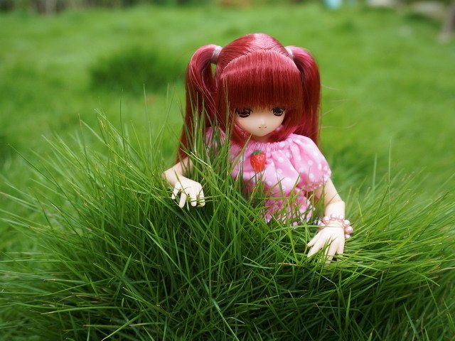 俏皮蘿莉姐妹花