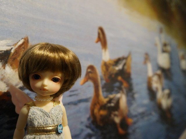 140913小蘿莉與小天使的長榮桂冠酒店一遊兼敗家 (34).jpg