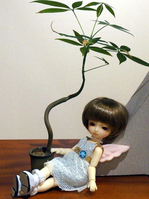 140913小蘿莉與小天使的長榮桂冠酒店一遊兼敗家 (33).jpg