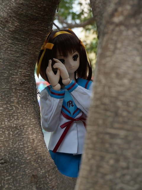 涼宮春日的散步