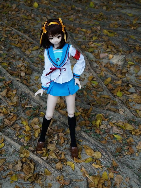 涼宮春日的散步