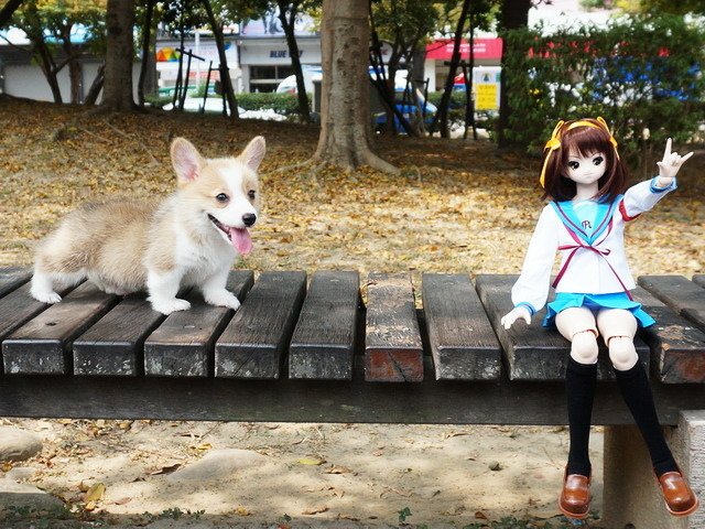 涼宮春日的散步