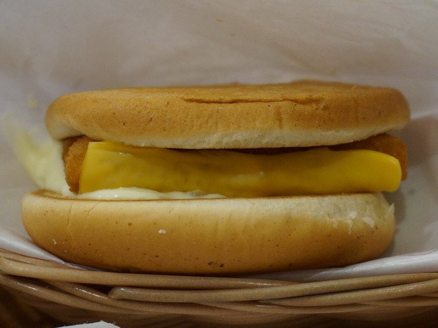 141101貓婆婆的看房賞貓一日遊 (8).jpg