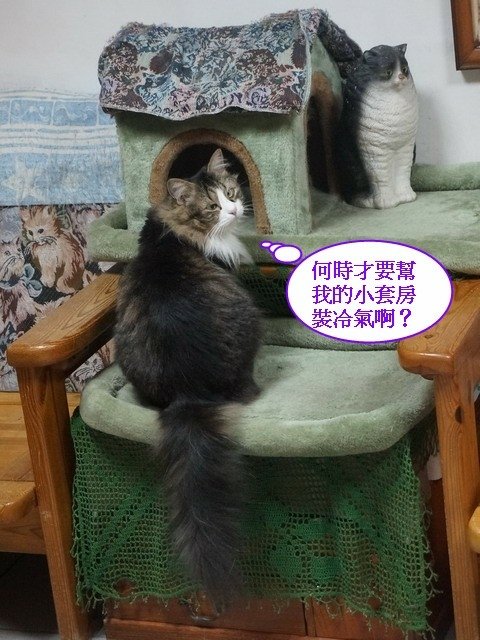 瞳瞳想要吹冷氣