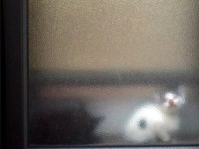 貓咪食客～45