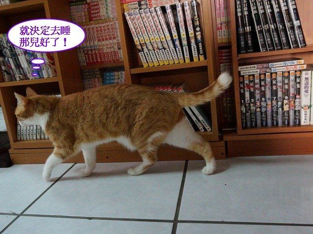 妹妹的睡覺好去處