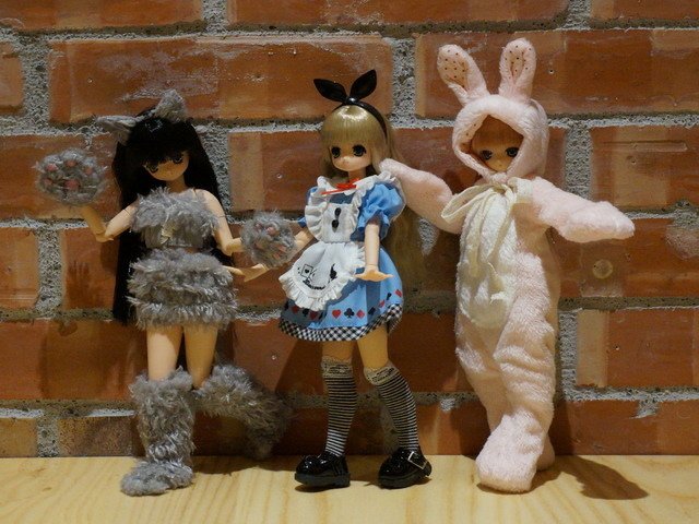 愛麗絲、兔子與野狼的奇幻冒險