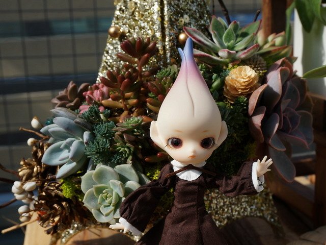 帶花花精靈去賞花