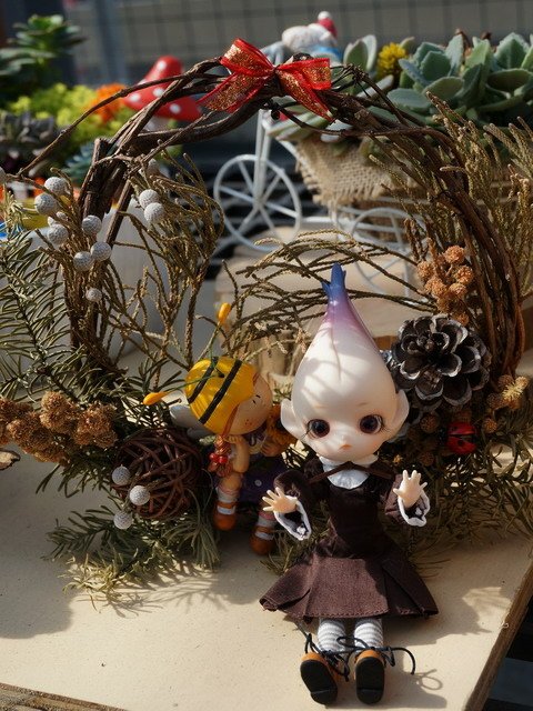 帶花花精靈去賞花