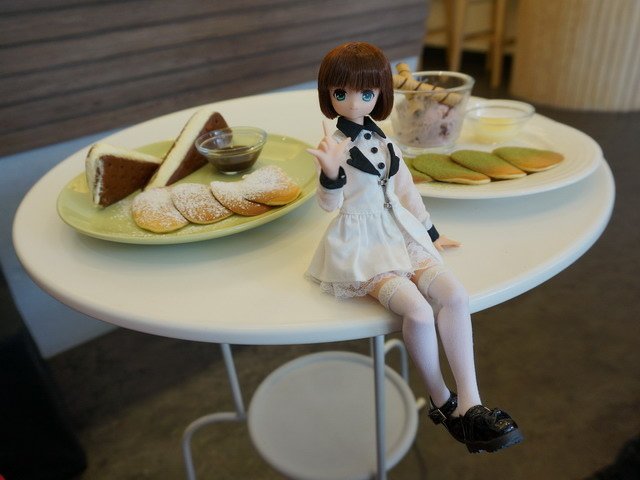 150216吃炒飯饗鬆餅獲貓仔 (9).jpg