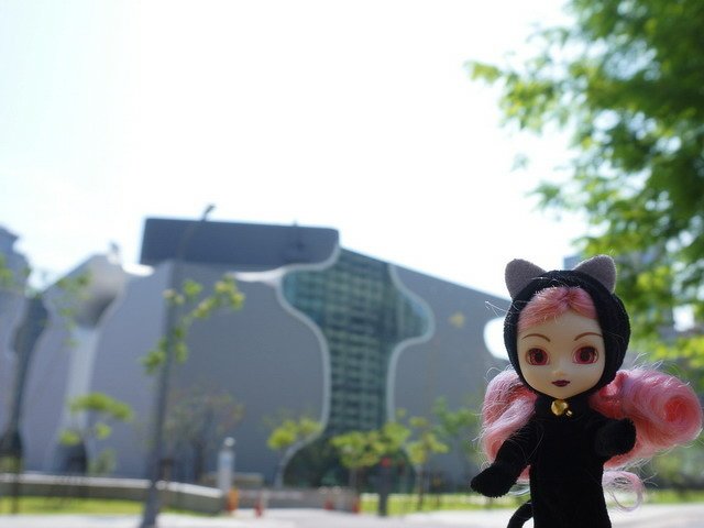 黑貓白兔出外遊