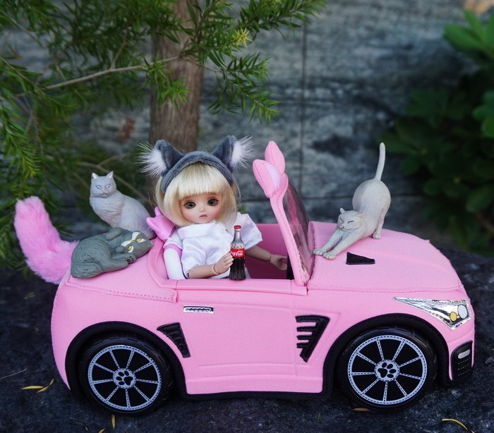 暹羅貓女開車兜風