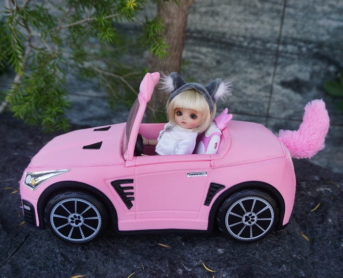 暹羅貓女開車兜風