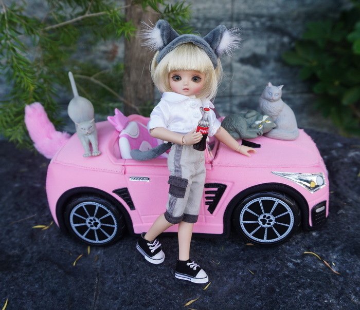 暹羅貓女開車兜風