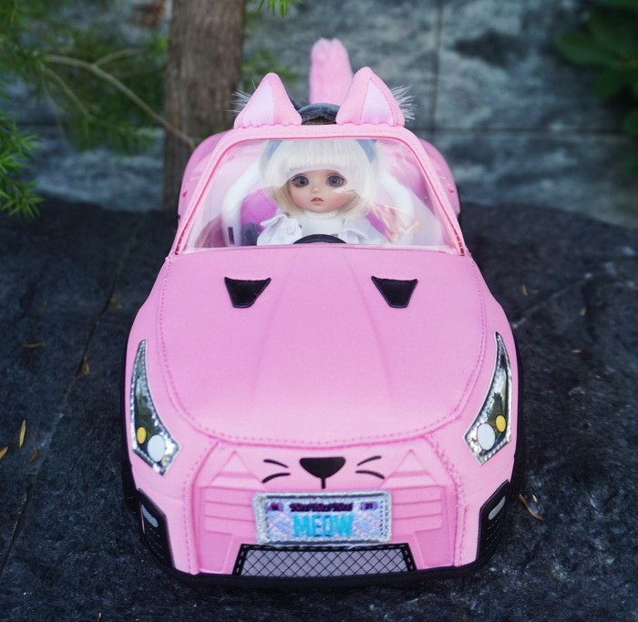 暹羅貓女開車兜風