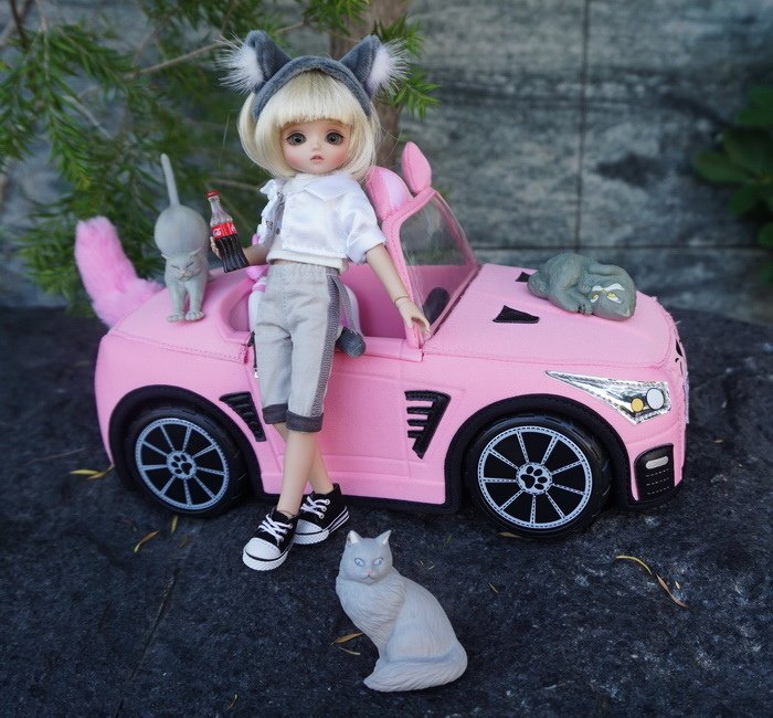 暹羅貓女開車兜風