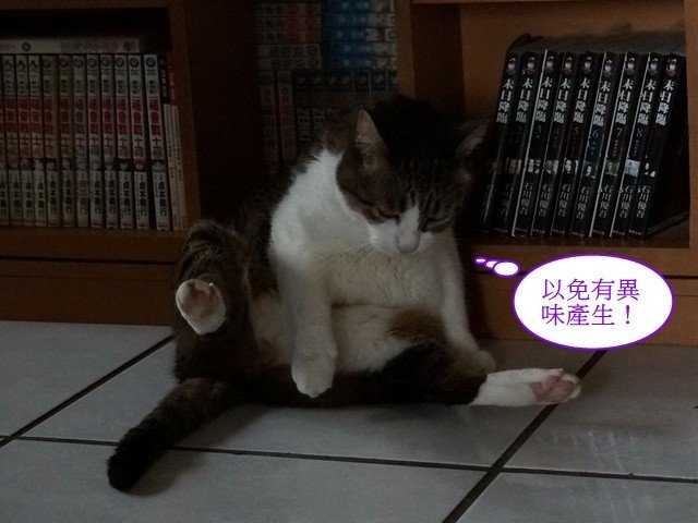 襪襪的夏季美容操