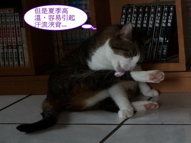 襪襪的夏季美容操