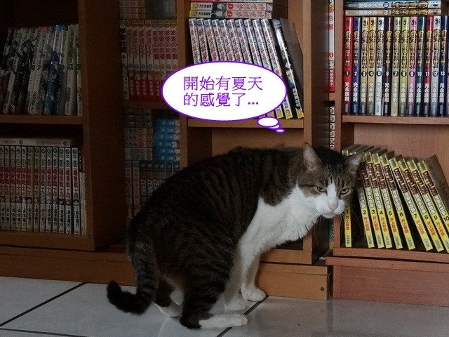 襪襪的夏季美容操