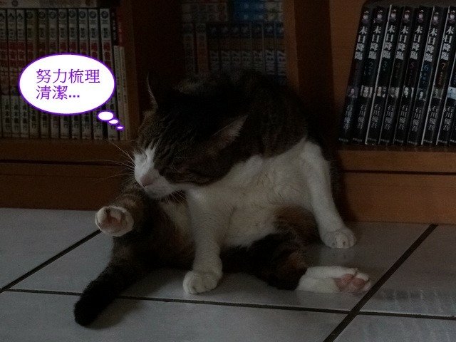 襪襪的夏季美容操