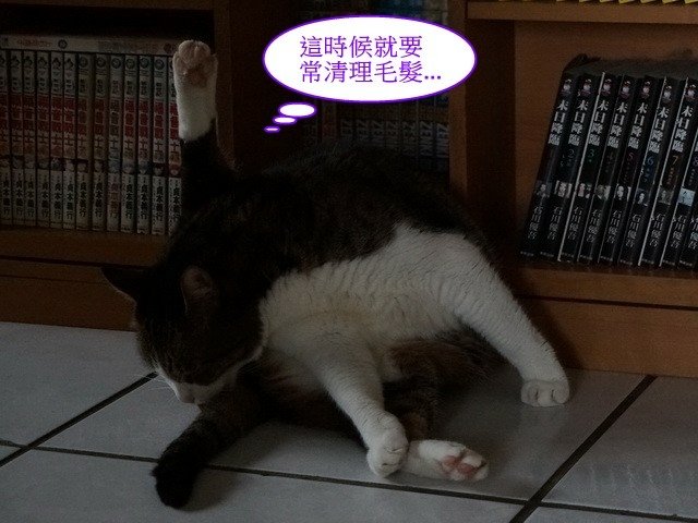襪襪的夏季美容操