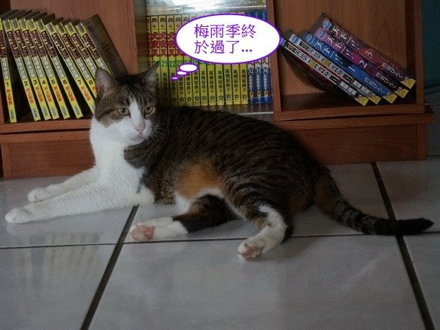 襪襪的夏季美容操