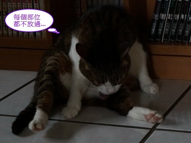 襪襪的夏季美容操