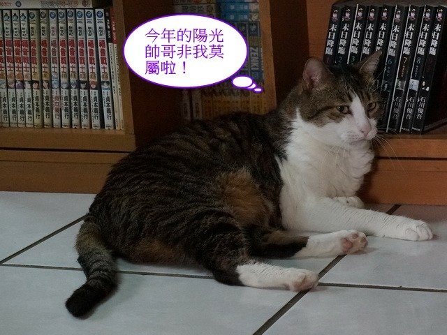 襪襪的夏季美容操