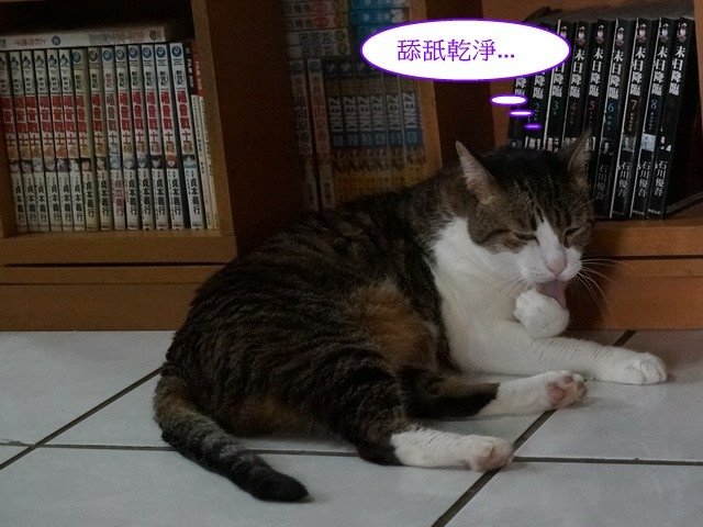襪襪的夏季美容操