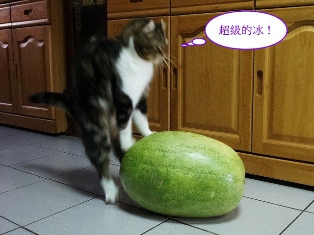 夏天就要冰西瓜