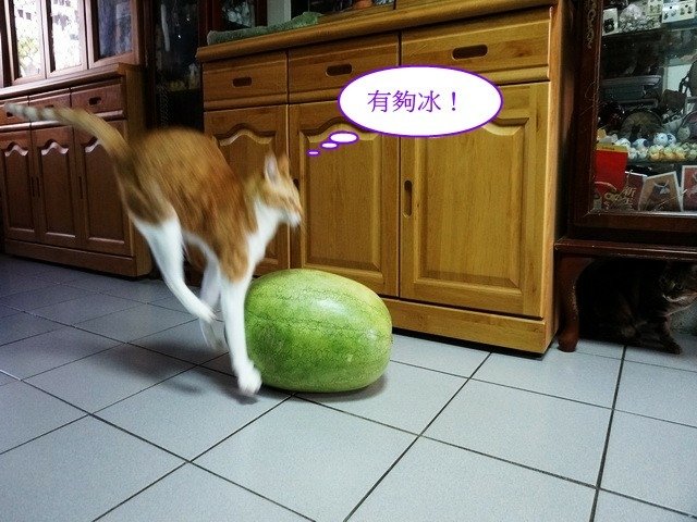 夏天就要冰西瓜