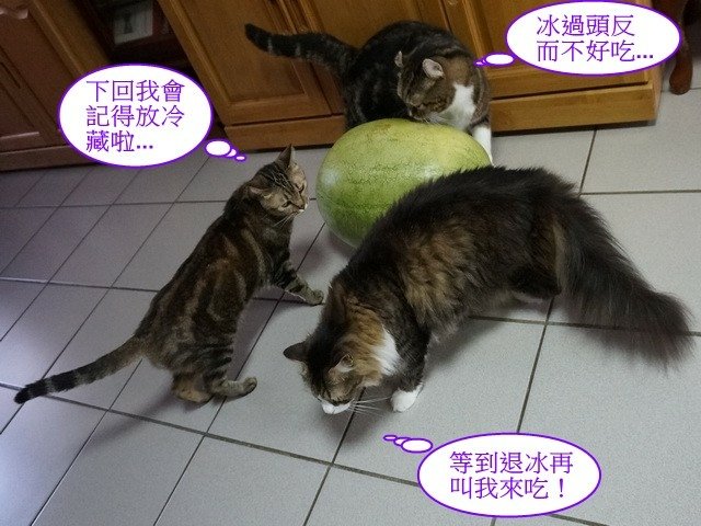 夏天就要冰西瓜